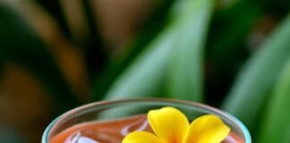 What $1,000 a Night Gets You at These Luxury Resorts close-up of a tropical welcome drink with flowers floating—captioned: “The $1,000 welcome I didn’t know I needed.”